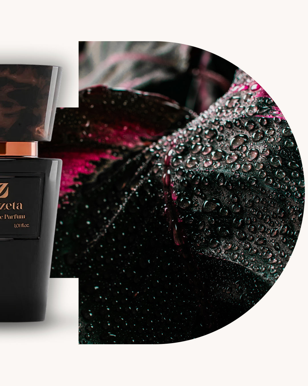 Detailansicht des Chogan 054 Extrait de Parfum, linker schwarzer Flakon mit kupferfarbenem Akzent, rechts dunkler Hintergrund mit grünen und roséfarbenen Tönen und Wassertropfen, Duftfamilie ähnlich Black Orchid.