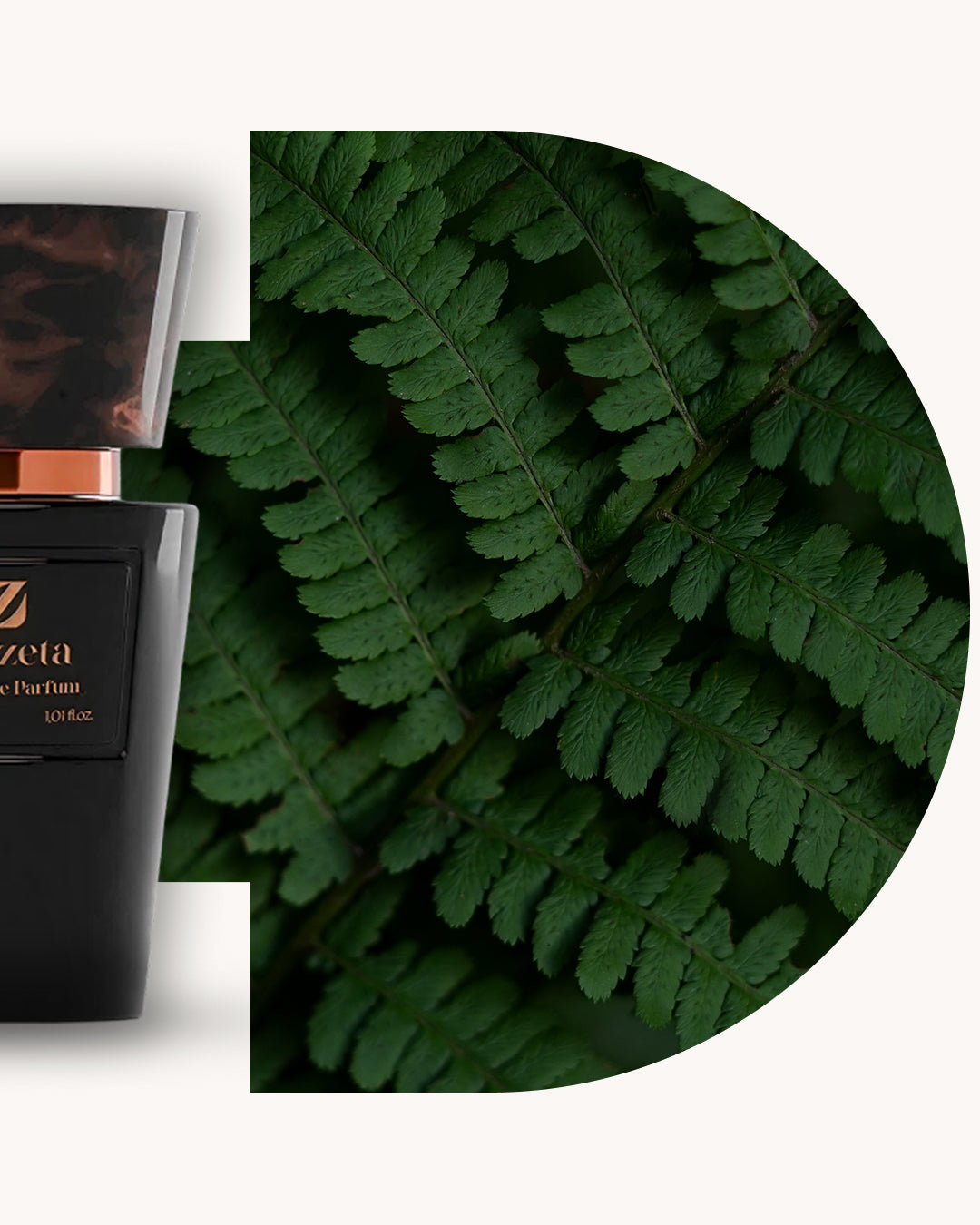Detailansicht des Chogan 108 Extrait de Parfum, linker schwarzer Flakon, rechts dunkelgrüner Hintergrund mit Farnblättern in feiner Struktur, Duftfamilie ähnlich Green Irish Tweed.