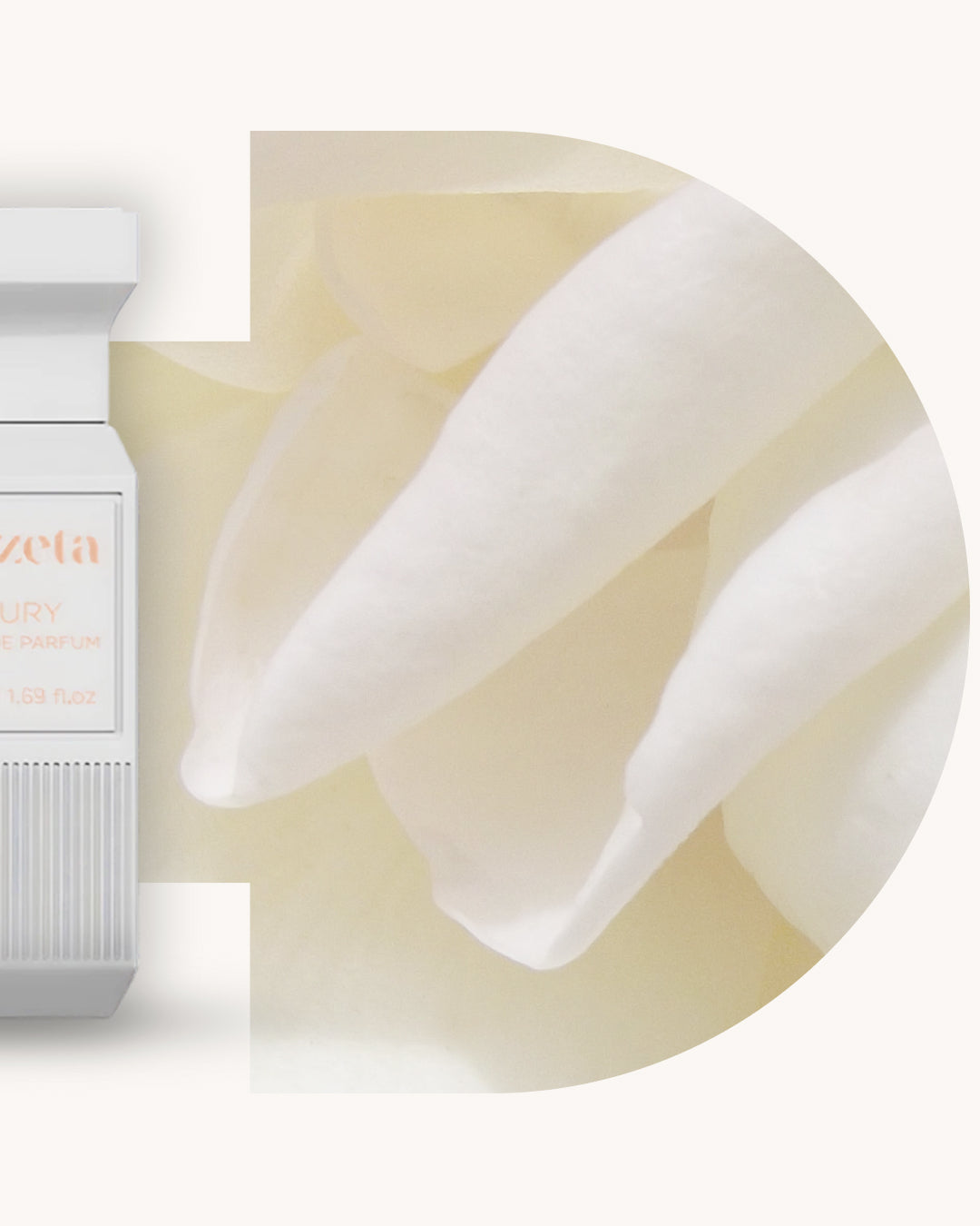 Detailansicht des Chogan 123 Extrait de Parfum, weisser Flakon links, rechts cremefarbene Blütenblätter auf beigem Hintergrund, Duftfamilie ähnlich Good Girl Gone Bad.